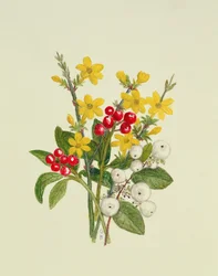 Schneebeeren, Hartriegel und Jasmin